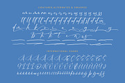 Motion Amusement Modern Signature, a Script Font by Letterena Studios Script (Thumbnail 14 of 15)