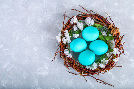 Blue easter eggs in a nest with whit, a Holiday Photo by Detriana