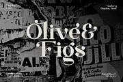 Mugiwara Swashy Serif, a Serif Font by Typegoals Studio (Thumbnail 4 of 9)
