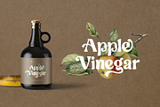 Royal Avenue Display Serif Font, a Serif Font by Prestigetype (Thumbnail 2 of 16)