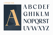 Gildora - Modern Elegant Stylish, a Serif Font by Qweera Studio (Thumbnail 11 of 12)