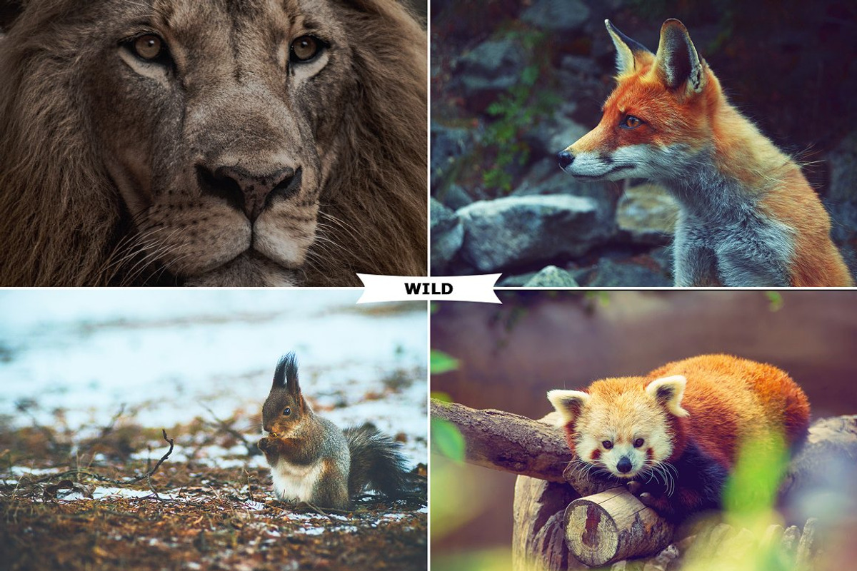 Mixed Photoshop Actions Bundle, an Action Add-On by Viktor Gjokaj (Photo 21 of 21)