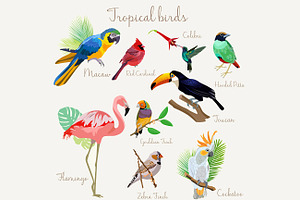 Bright color Exotic tropical birds., a Graphic by Lemberg Vector