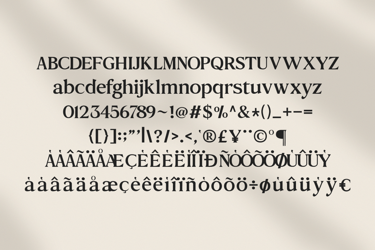 Ephira Modern Editorial Serif Font, a Serif Font by Vadovastd (Photo 2 of 7)