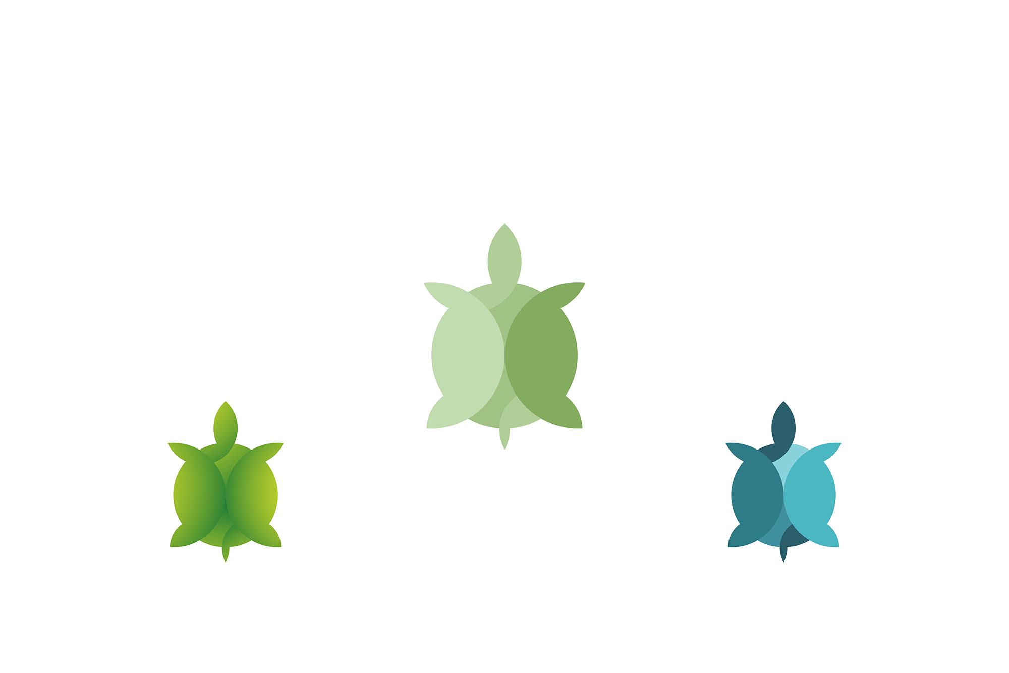Tortoise Logo Design Template, a Branding & Logo Template by ...