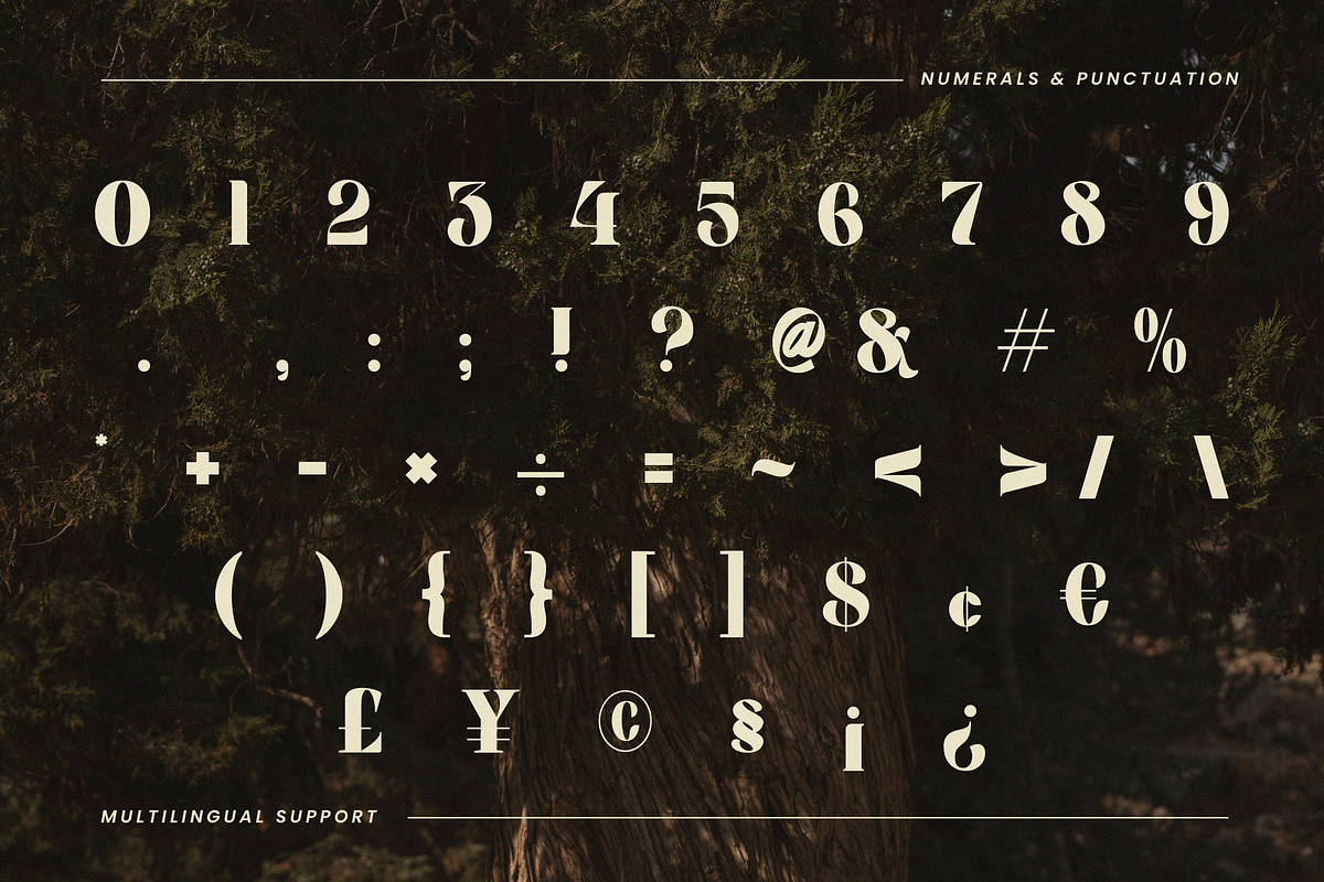 Lasthen - Serif Font, a Serif Font by Randi Irvan | Rvandtype (Photo 9 of 12)