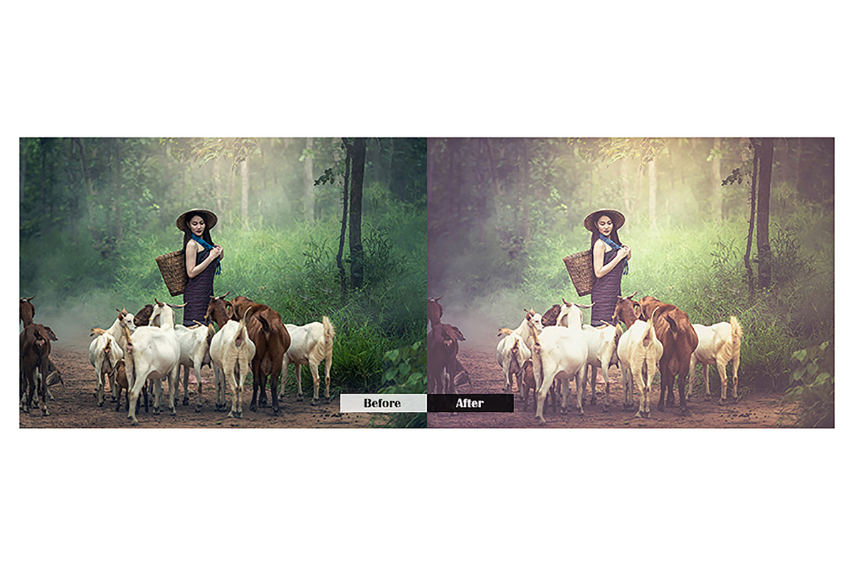 Old Film Lightroom Presets preview 2