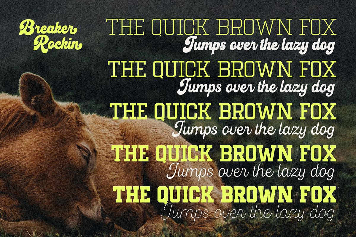 Breaker Rockin, a Script Font by Nathatype (Photo 10 of 21)