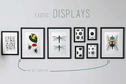 Interior Exotic Jungle Set. Bundle, an Animal Illustration by Sam Beeston (Thumbnail 3 of 5)