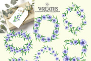 Chicory Plant Watercolor Collection, an Illustration by SashaKondr (Thumbnail 9 of 12)
