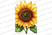 Yellow Sunflower Watercolor Flowers, an Illustration by DreamCafeArt (Thumbnail 6 of 6)