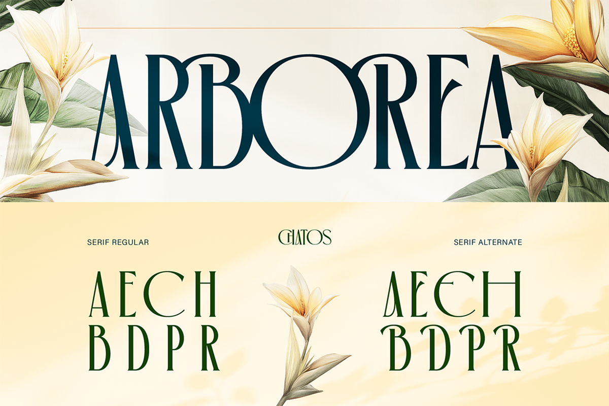 Chatos Original, a Serif Font by Burntilldead (Photo 5 of 11)
