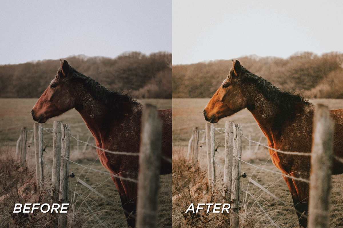 15 Pumpkin Lightroom Presets, a Preset Add-On by TheWayfarerShoppe (Photo 5 of 8)