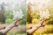 Golden Hour Lightroom Presets, a Layer Style Add-On by Rapita Photography© (Thumbnail 8 of 10)