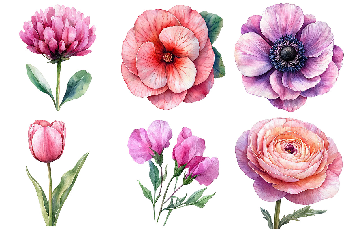 Watercolor Pink Flowers Clipart, an Illustration by Craft Nest (Photo 7 of 7)