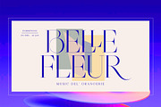 Braston - Elegant Serif Font, a Serif Font by Dora Typefoundry (Thumbnail 3 of 20)