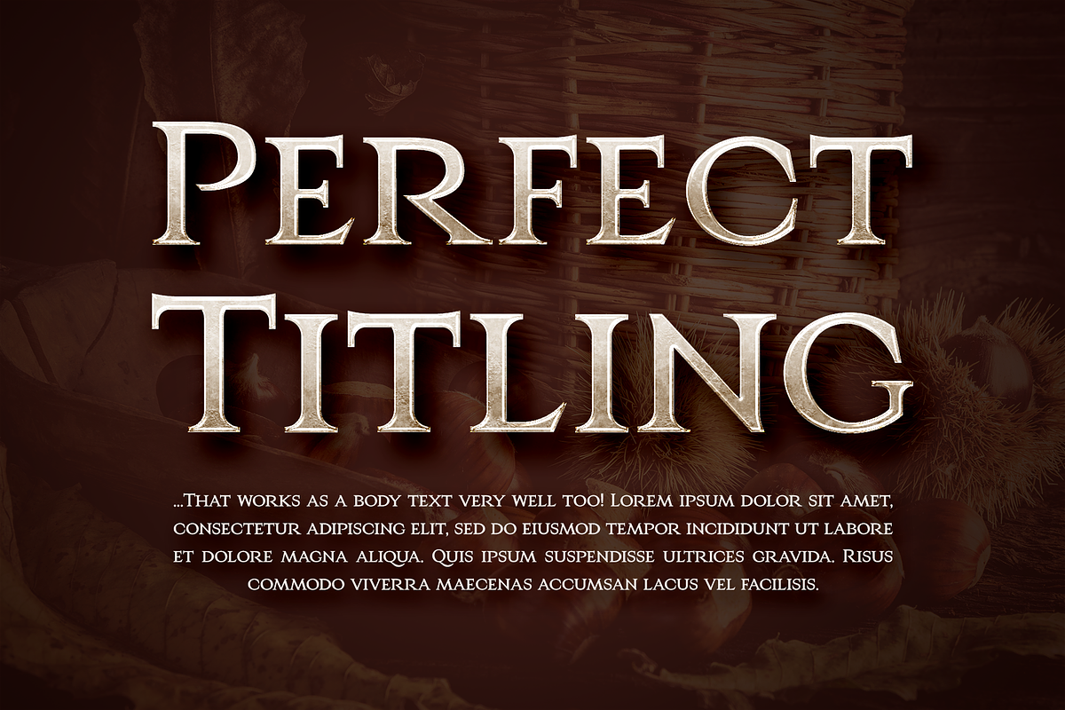 Castaneis - Luxury Roman Style Serif, a Serif Font by PixelBL Design Studio (Photo 2 of 4)