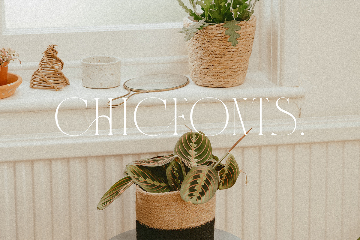 Bulgary Chycane, a Serif Font by Violet Natural (Photo 8 of 9)