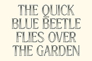 CS Alma Stippled, a Serif Font by Craft Supply Co. (Thumbnail 5 of 8)