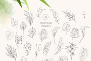 Charming forest - BUNDLE 4 in 1, a Decorative Illustration by Yuliia Lashevska (Thumbnail 19 of 26)