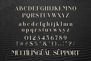 Aiditten Elegant Serif, a Serif Font by Alfinart (Thumbnail 9 of 10)