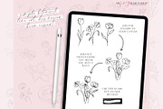 Procreate Floral Line Art Stamp Set, a Brush Add-On by My Fancy Design Shop (Thumbnail 4 of 10)