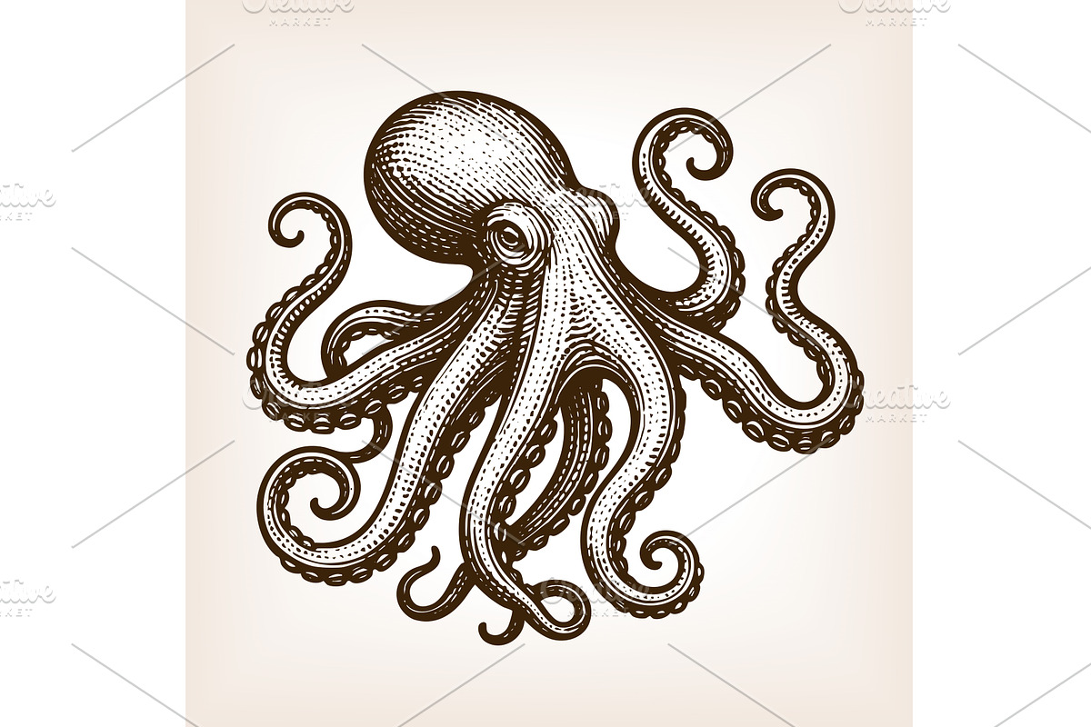octopus with tentacles engraving, an Animal Illustration by AlexArt