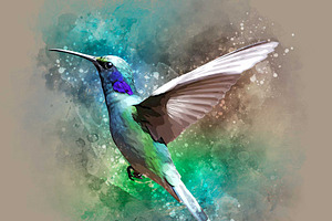 Watercolor Bird Painting Effect