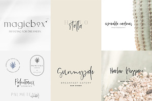 The Logo And Branding Font Bundle