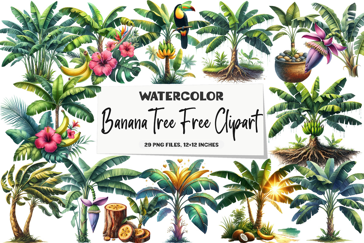 Banana Tree Free Clipart, an Illustration by DreamArtGraphic (Photo 1 of 7)
