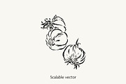 Herbs & Spices Vector Bundle, a Food Illustration by Little Gremlin (Thumbnail 5 of 10)