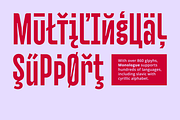 Monologue Font, a Sans Serif Font by Halfmoon Type (Thumbnail 8 of 11)