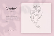 Orchid #25. Line Art Illustration, a Decorative Illustration by lapi-olesya (Thumbnail 1 of 3)