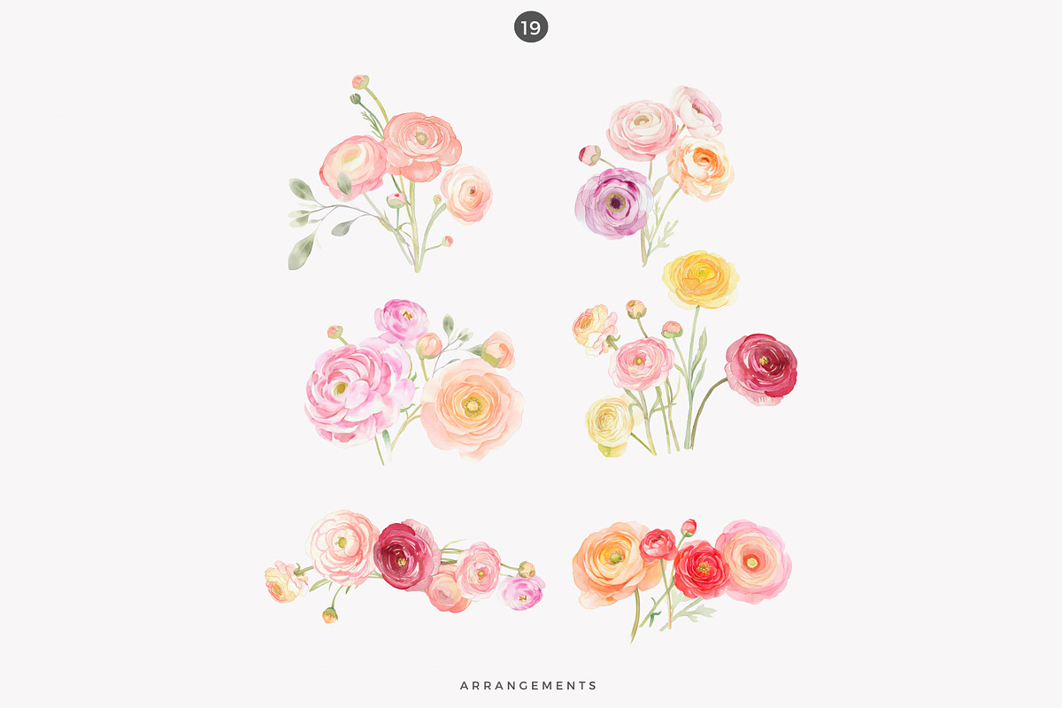 watercolor ranunculus clipart set, a Decorative Illustration by Patishop Art (Photo 9 of 10)