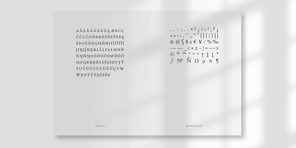 De Aetna Regular Pro, a Serif Font by Rudolf Horaczek (Photo 5 of 7)