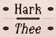 CS Gathery Drawn, a Serif Font by Craft Supply Co. (Thumbnail 2 of 8)