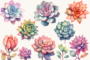 Watercolor Succulent Clipart Bundle