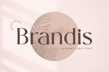 Brandis – Elegant & Modern Serif