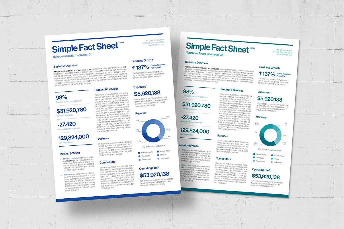 Simple Factsheet Template, a Flyer Template by BrandPacks (Photo 5 of 5)