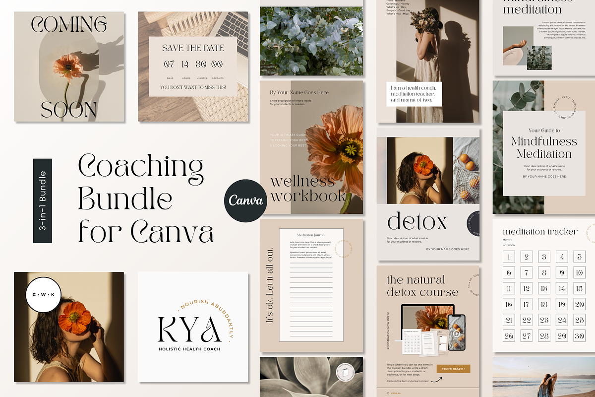 3-in-1 Canva Coaching Bundle, a Design Template by Erin Cassidy (Photo 1 of 26)
