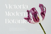 Chetta Vissto, a Serif Font by ToniStudio (Thumbnail 2 of 9)