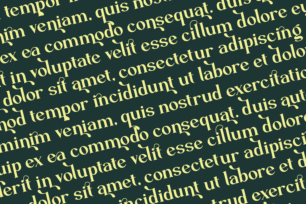 Zearlith - Modern Serif Font, a Serif Font by Rishsketch (Photo 11 of 15)