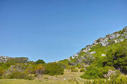 Hout Bay nature, a Photo by Peopleimages.com