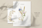 Watercolor Wheat & Field Flora, a Decorative Illustration by MayaNavits (Thumbnail 11 of 13)