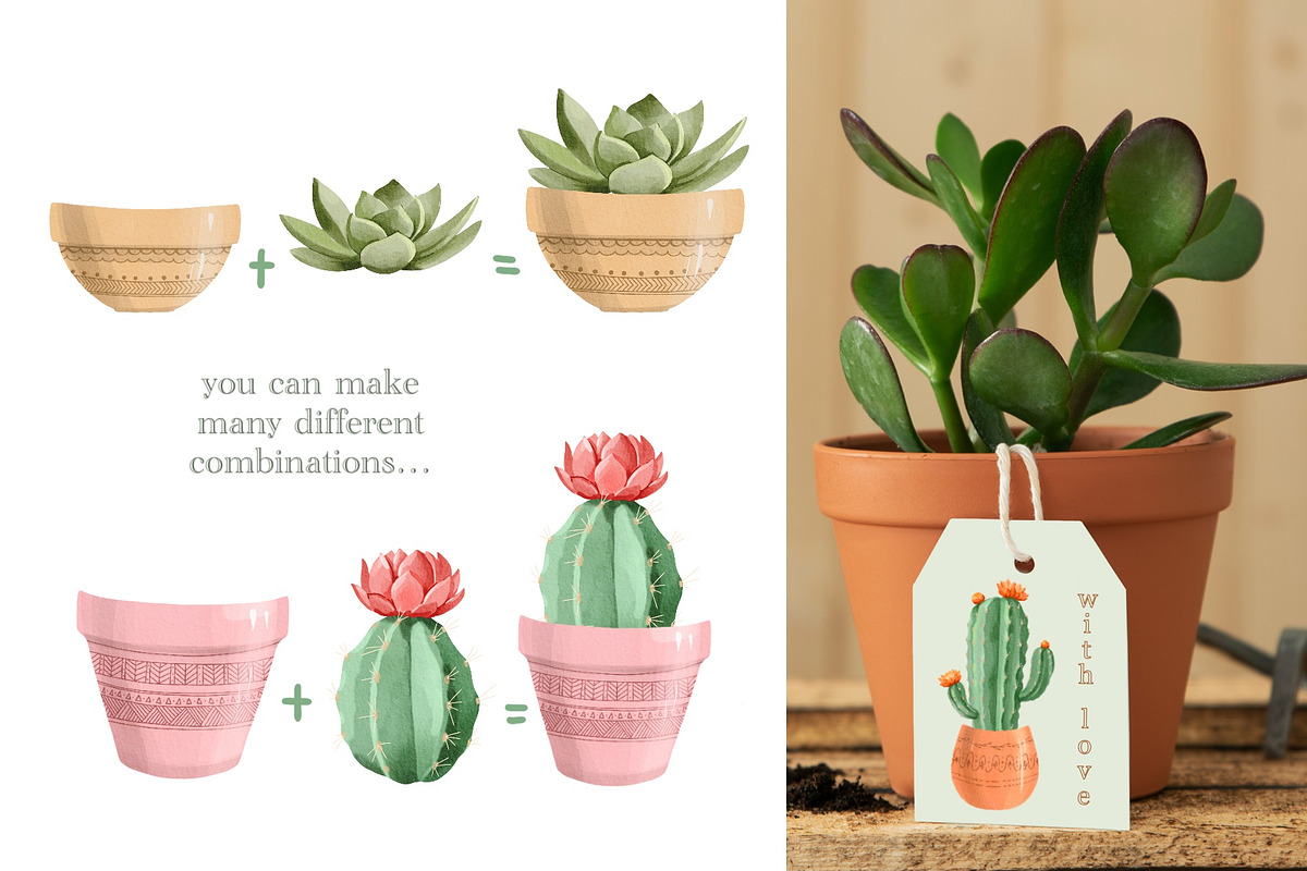 Watercolor Cactus, Succulent Clipart, an Object Illustration by ArtGiftsStudio (Photo 3 of 4)
