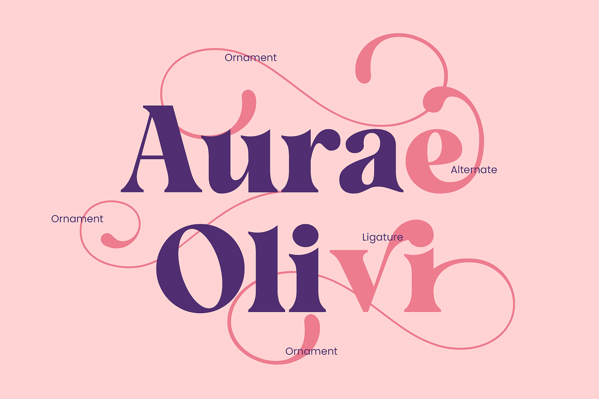 Rushville, a Serif Font by Umitype (Photo 10 of 11)
