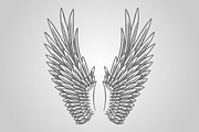15 Wing Illustrations (Vector), an Animal Illustration by BIOWORKZ (Thumbnail 2 of 5)