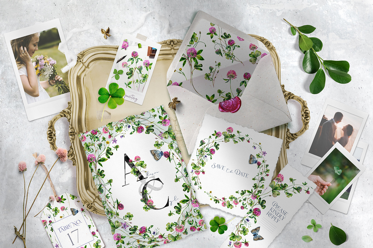 SUMMER CLOVER Watercolor Wildflowers, an Illustration by Inna Sinano (Photo 7 of 17)