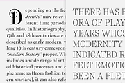 Plethora, a Serif Font by Sudtipos (Thumbnail 6 of 12)