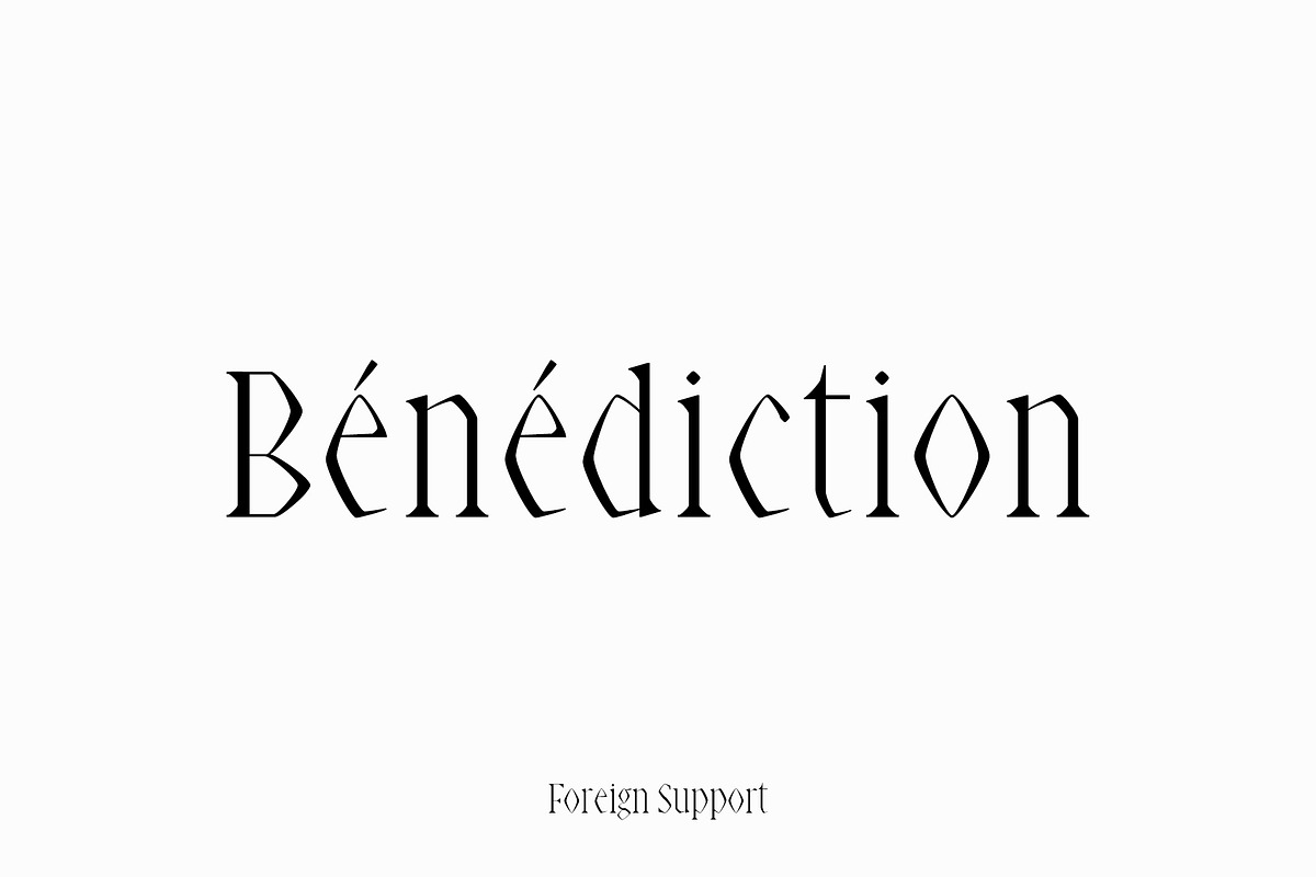 Abell Serif 6 Font Family Pack preview 4